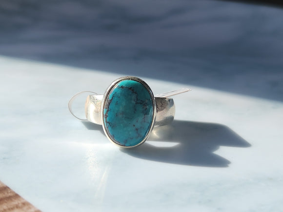 Turquoise Ring (Size 6.75)