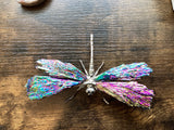 Aura Kyanite Dragonfly