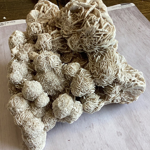 Desert Rose Cluster