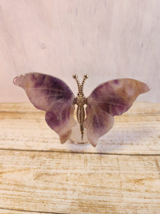 Mini Butterfly