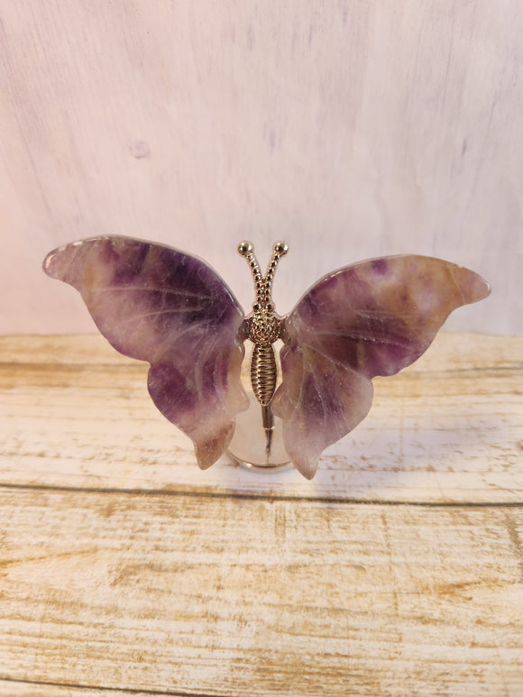 Mini Butterfly