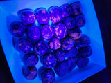 Yooperlite Tumble