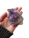 Amethyst Rose