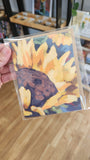 Painting - Greeting Cards