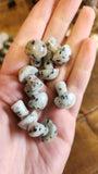 Mini Mushrooms