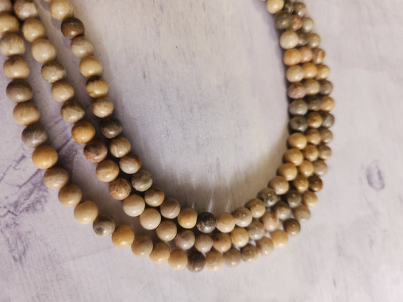 Fossil Coral Beads