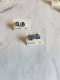 Birthstone Polished Stud Earrings