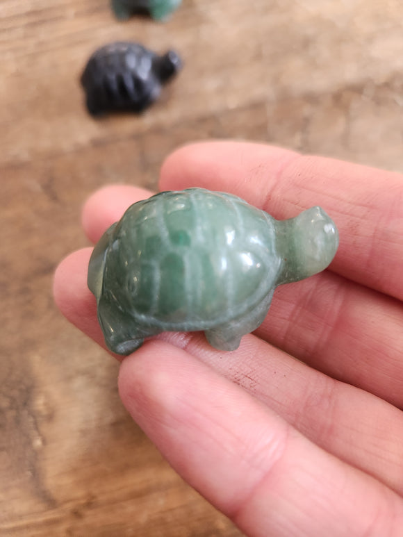 Turtle Carving