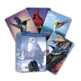 Bird Vibes Meditation Card Deck