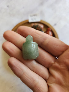 Mini Turtle