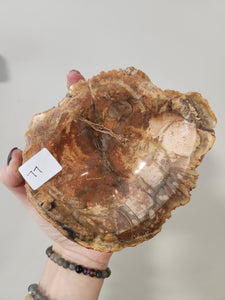 Petrified Wood Bowl