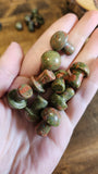 Mini Mushrooms