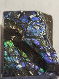 Ammolite