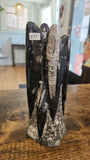 Orthoceras Fossil
