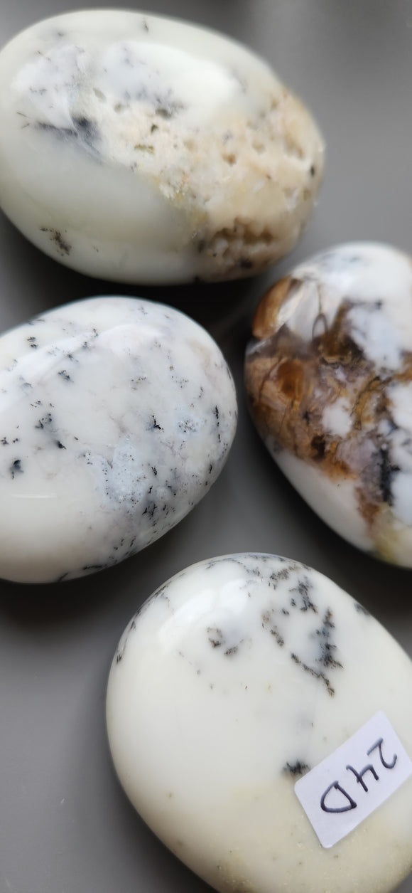 Dendritic Agate Palm Stone