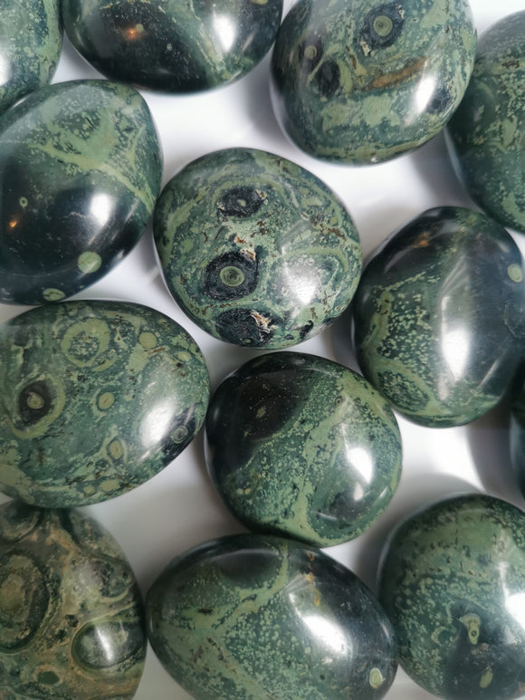 Kambaba Jasper Palm stone