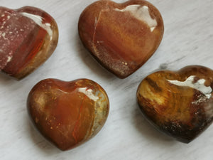 Petrified wood heart