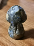 Medium Mushroom