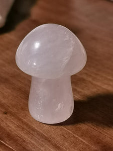 Medium Mushroom